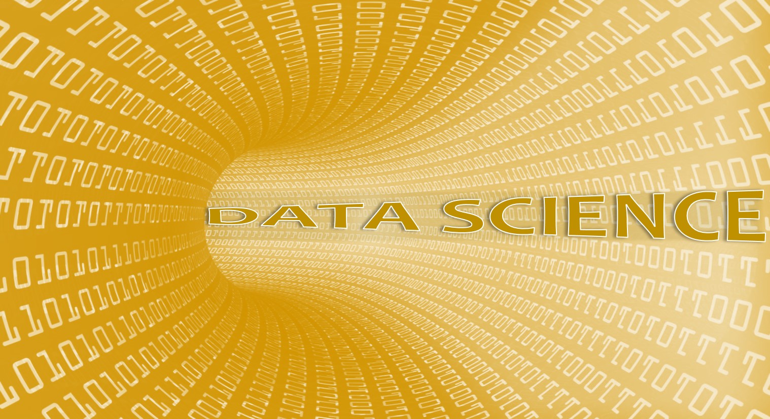 Improving Governance through Data Science